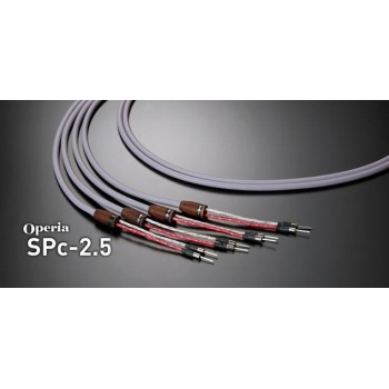 Kondo Audio Note SPc-2.5. Cable de altavoz.