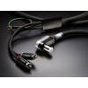 FURUTECH AG-12-L. Turntable phono cable from angled DIN to 2 RCA with ground