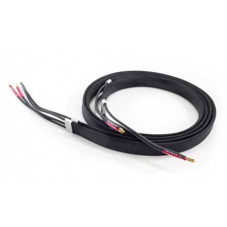 TELLURIUM Q Ultra Black II Speaker Cable