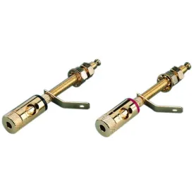 BP-270 Binding posts (pair)