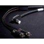 FURUTECH Silver Arrows II-L. Turntable phono cable from angled DIN to 2 RCA with ground