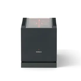 Brinkmann Mono. Etapa de Potencia.