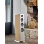 FOCAL THEVA N2. 3-way column speakers