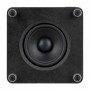 RUARK AUDIO RS1 SUB. Active subwoofer 6.5" and 100W.