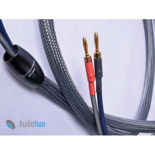 Charismatech Cable altavoz SP-300