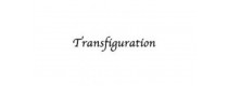 Transfiguration