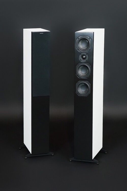 Floorstanding Speakers SCANSONIC HD